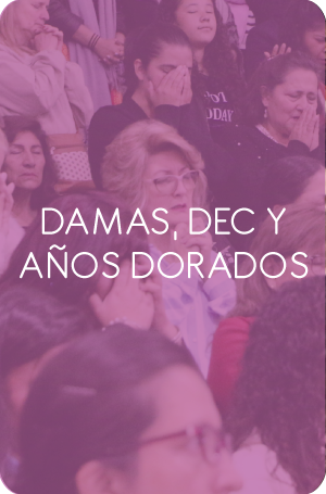 damas_mofem